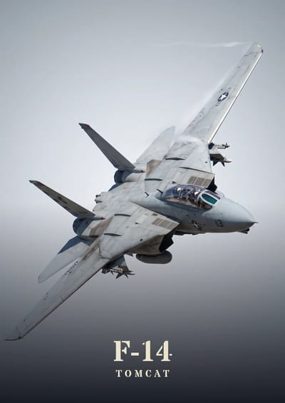 F-14 Tomcat