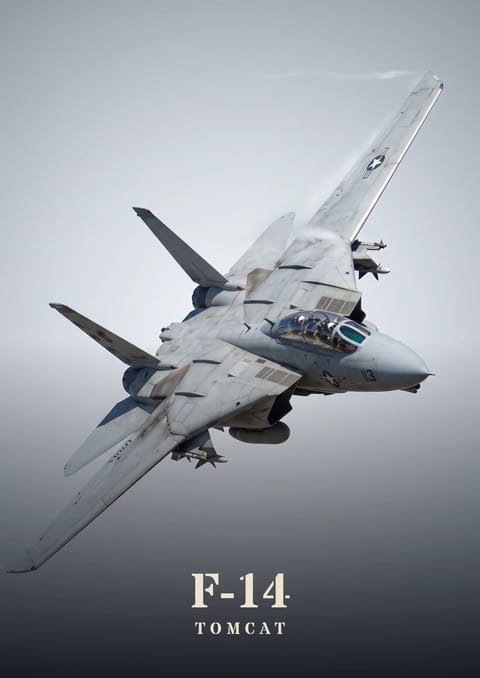 F-14 Tomcat poster