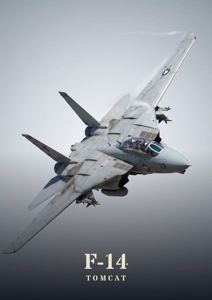 F-14 Tomcat, framed